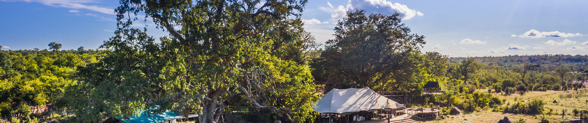Zimbabwe Hwange Deteema Sightings September 2024 Camp Zimbabwe Hwange Deteema Sightings September 2024 Camp