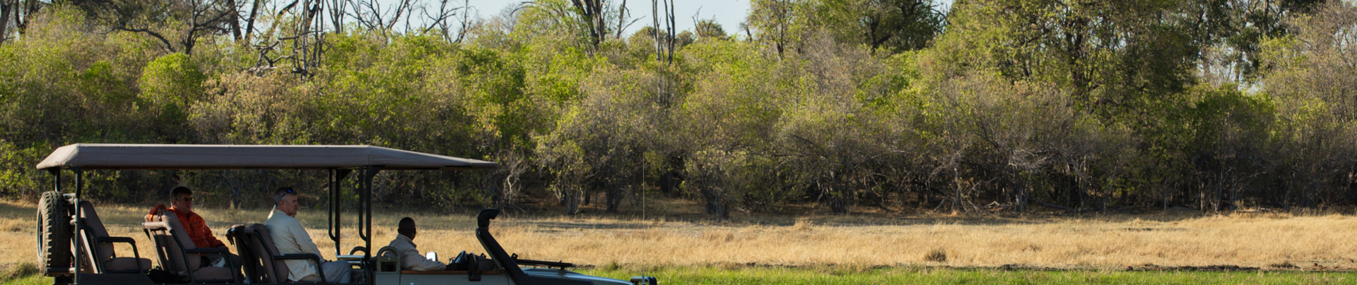 Machaba Botswana Okavango Delta Machaba Camp Sightings February 2020 Banner Safari