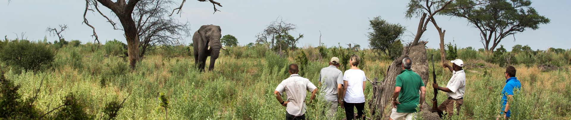 Botswana Gomoti Plains Banner