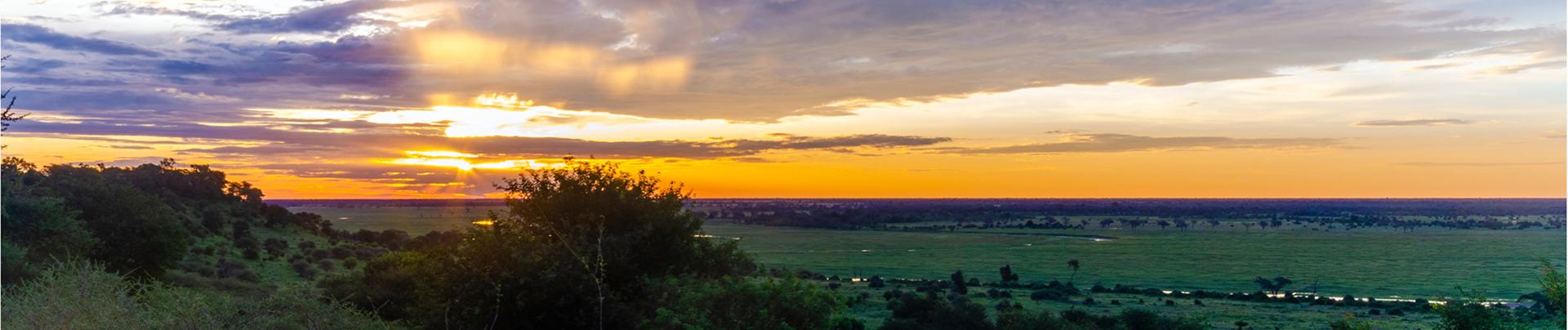 Ngoma Safari Lodge Banner