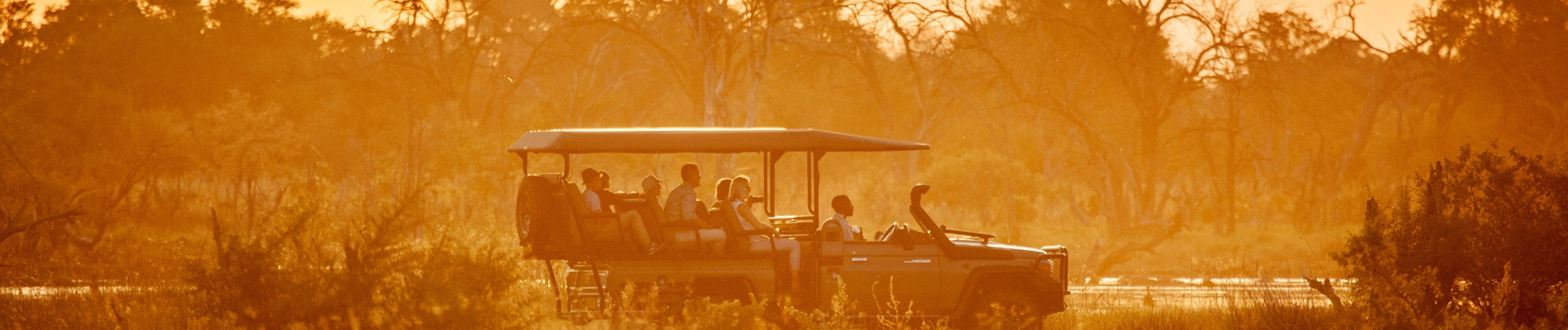 Afternoon game drive under the golden sun. Afternoon game drive under the golden sun.