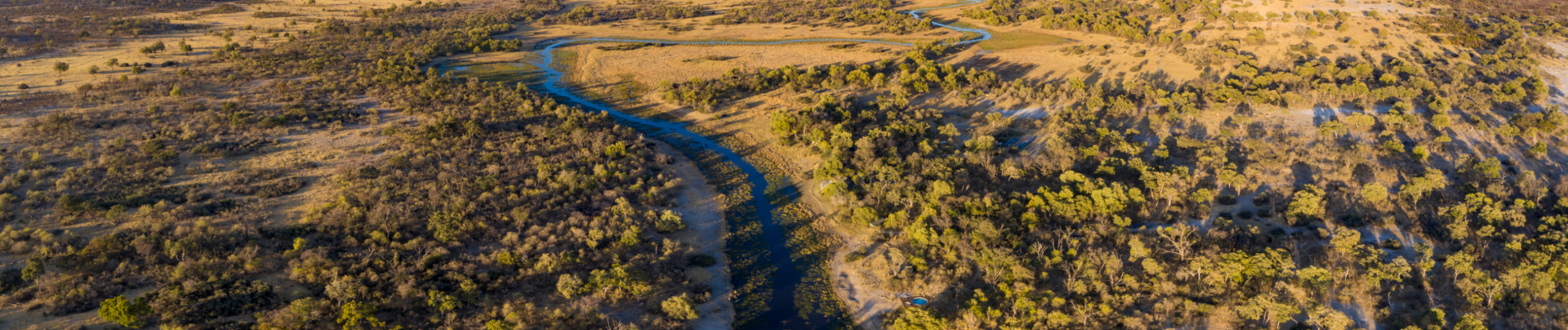 Machaba Kiri Camp Wildlife Sightings February 2026 Botswana Okavango Delta