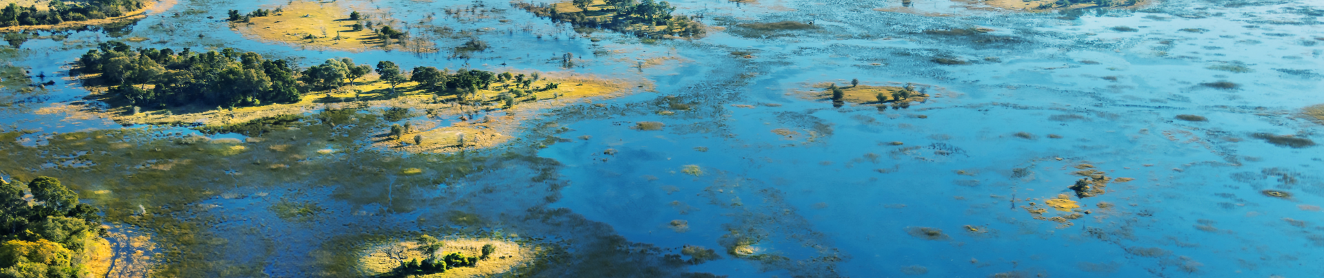 Machaba Gomoti Plains Camp Wildlife Sightings January 2026 Banner Okavango Floodwaters