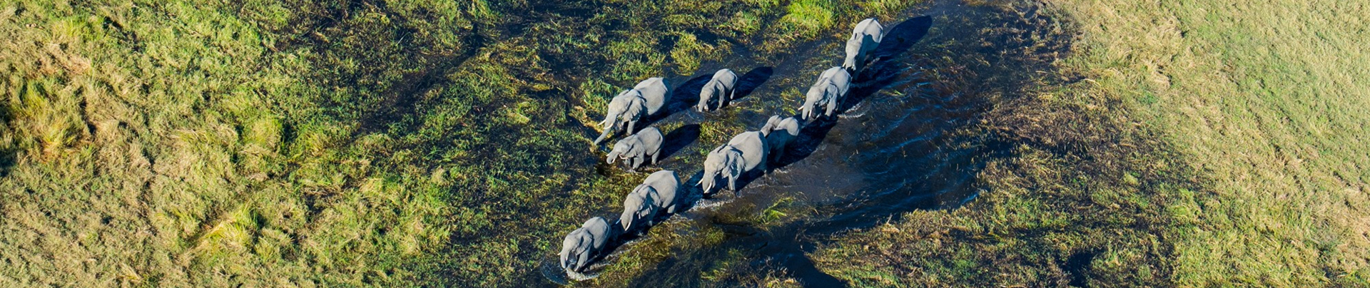 Machaba Safaris Okavango Delta Fly In Banner