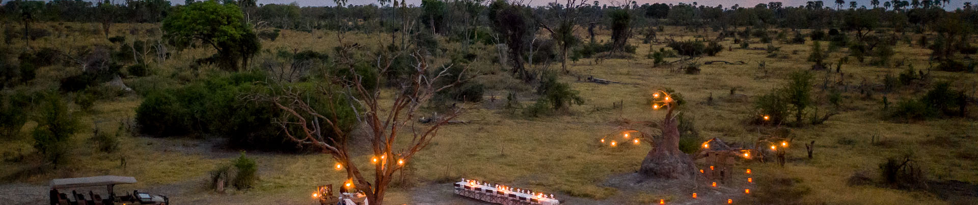 Willdife Sightings Gomoti Plains Botswana September 2024 Safari Experience