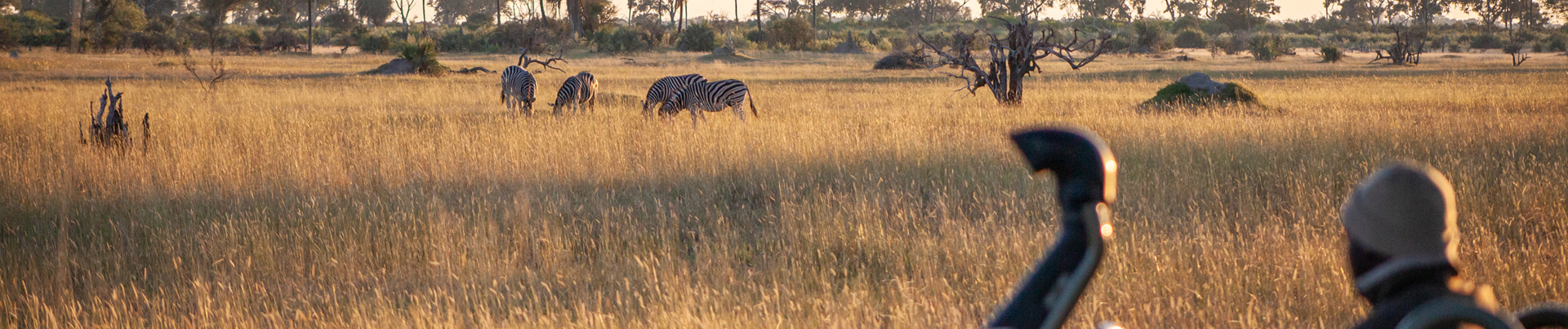 Machaba Safaris Botswana Okavango Delta Gomoti Plains The Safari Experience