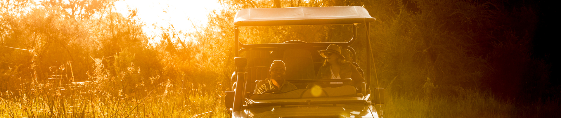 Willdife Sightings Machaba Camp Botswana September 2024 Activities