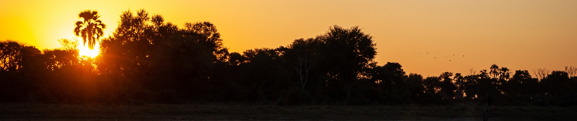 Machaba Gomoti Plains Camp Wildlife Sightings June 2025 Banner Gomoti Sunset
