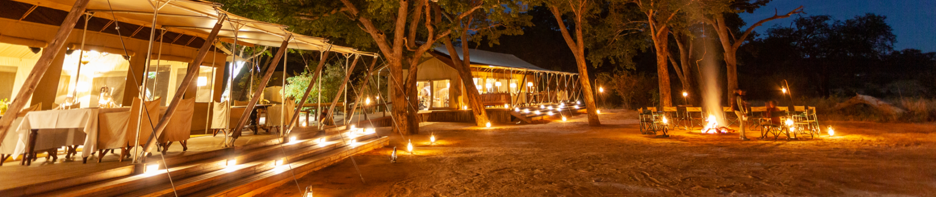 Machaba Verneys Camp Wildlife Sightings August 2026 Banner Verneys At Night