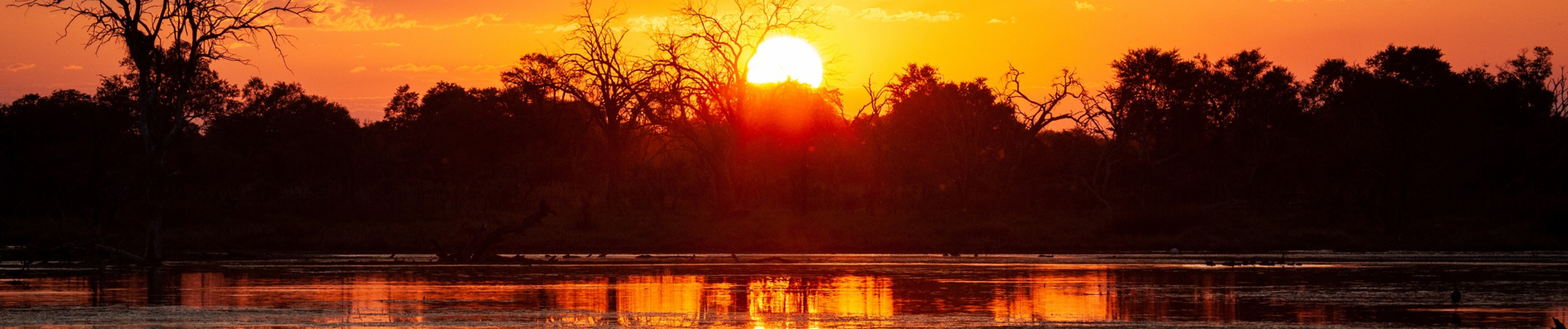 Machaba Camp Wildlife Sightings December 2025 Banner Flood Plain Sunset