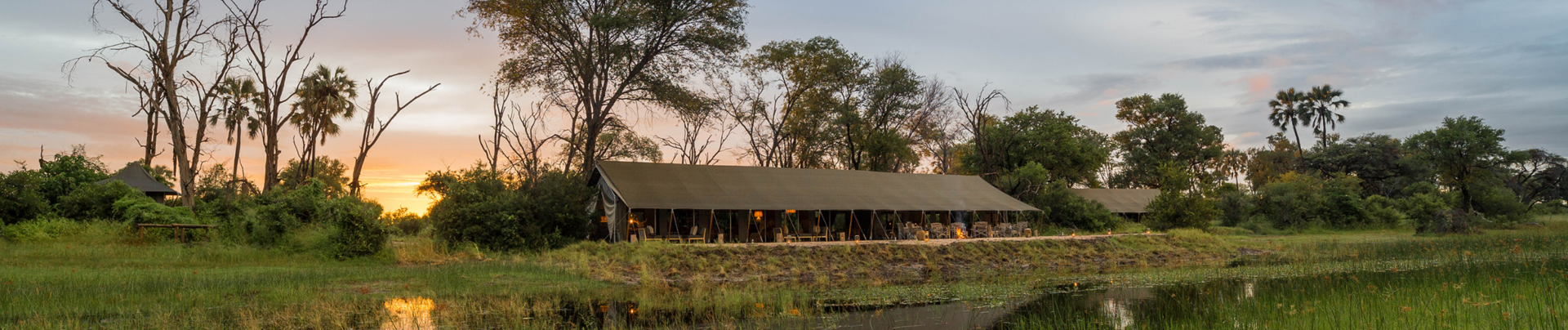 Machaba Gomoti Plains Camp Wildlife Sightings February 2026 Banner Camp By The Riverside