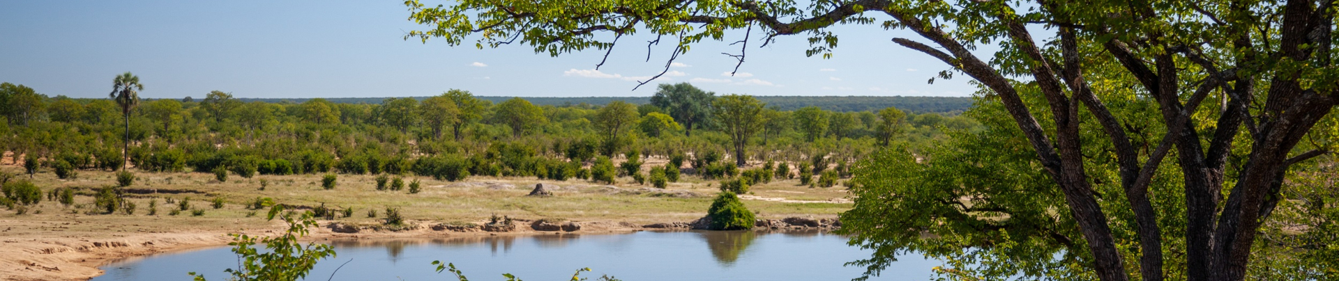 Machaba Verneys Camp Wildlife Sightings July 2025 Banner Hwange National Park Watering Hole