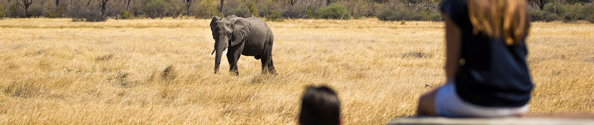 Botswana Okavango Delta Machaba Camp Sightings May 2021 Banner Botswana Okavango Delta Machaba Camp Sightings May 2021 Banner