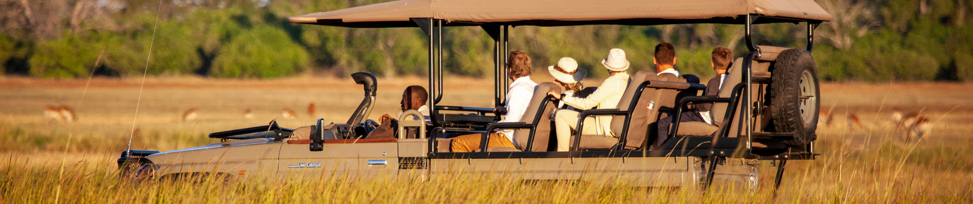 Machaba Machaba Experience Safari Mvr 079