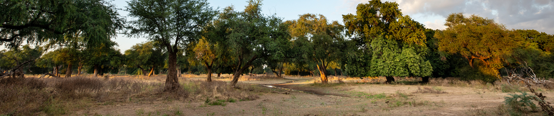 Zimbabwe Mana Pools Mana River Camp Land