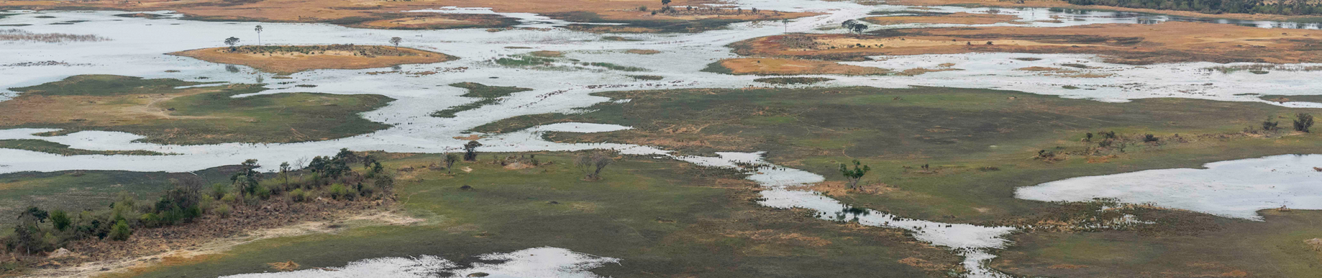 Botswana Okavango Delta Kiri Camp Wildlife Sightings February 2023   The Okavango Delta