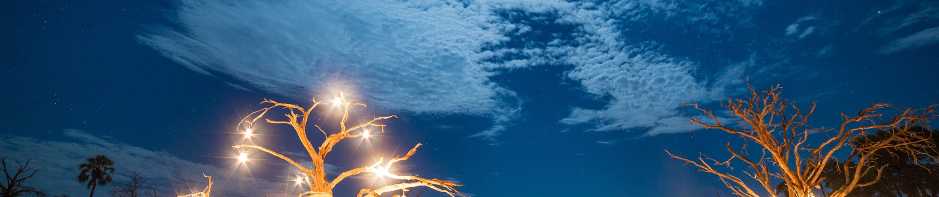 Machaba Kiri Camp Wildlife Sightings August 2025 Banner Kiri Camp Boma Dinner