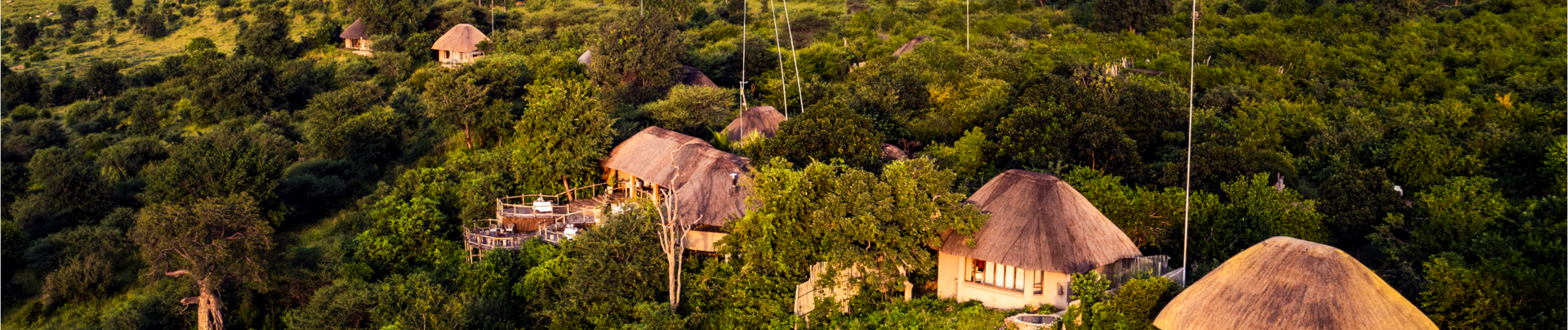 Machaba Ngoma Safari Lodge Wildlife Sightings July 2026 Banner Lodge In Chobe National Reserve 