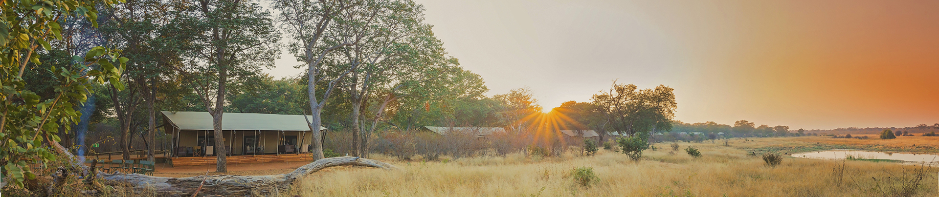 Zimbabwe Hwange National Park Deteema Springs Camp