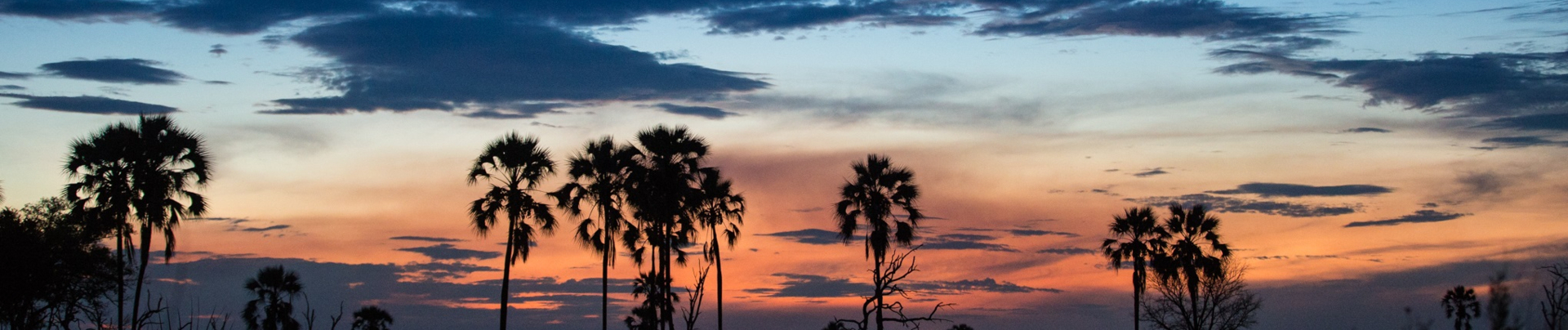 Machaba Kiri Camp Wildlife Sightings May 2025 Banner Sunset At Kiri Camp