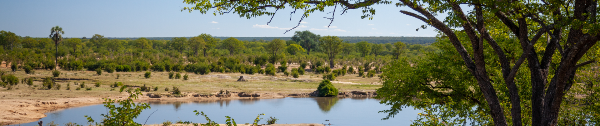 Machaba Verneys Camp Wildlife Sightings April 2026 Banner Hwange Watering Hole