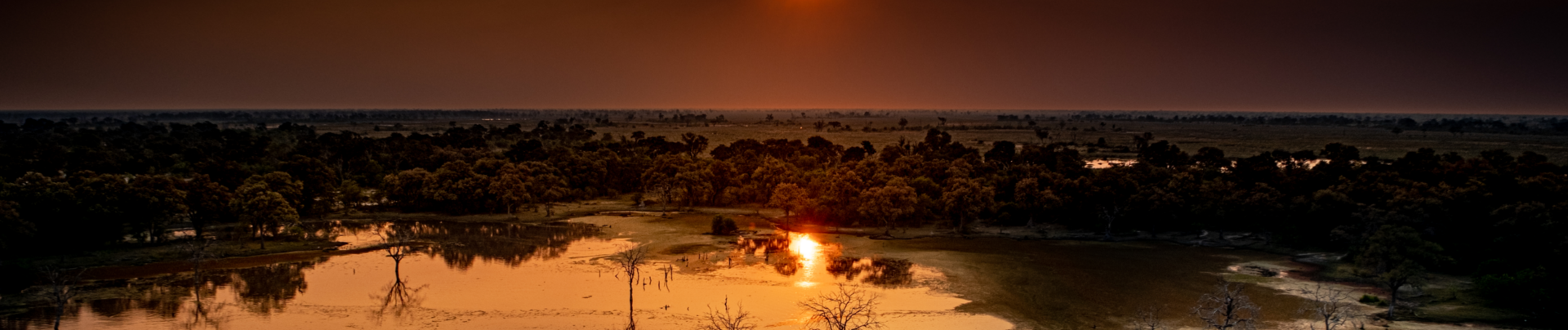 Machaba Gomoti Plains Camp Wildlife Sightings May 2026 Banner Okavango Delta In The Afternoon