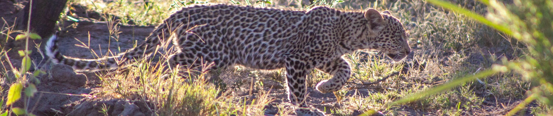 Health And Safety Banner