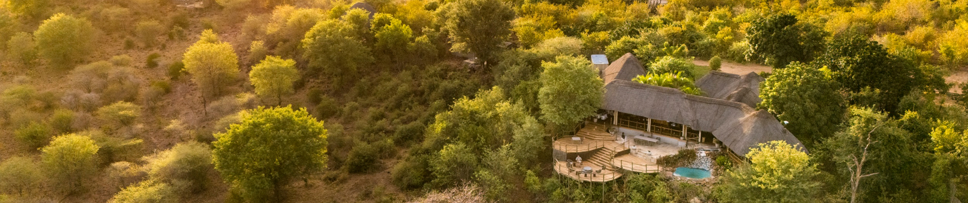 Machaba Ngoma Safari Lodge Wildlife Sightings June 2025 Banner Lodge In Chobe National Park Machaba Ngoma Safari Lodge Wildlife Sightings June 2025 Banner Lodge In Chobe National Park