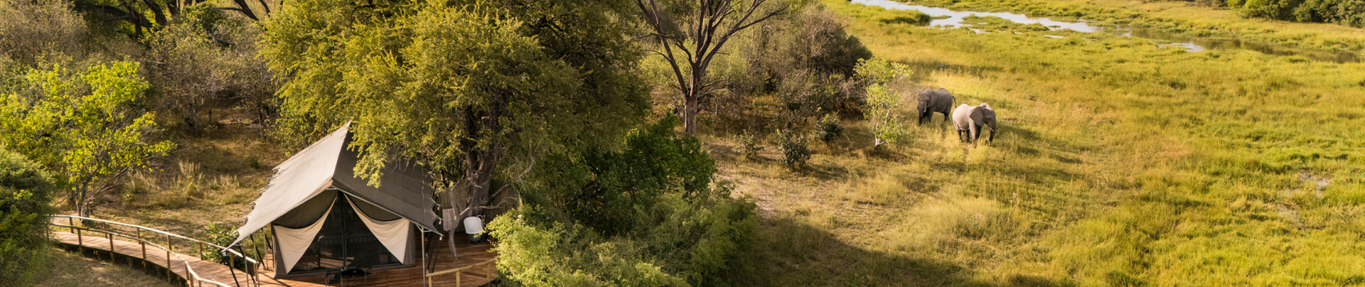Machaba Safaris Machaba Camp December Sightings 2024 Tented Room Banner