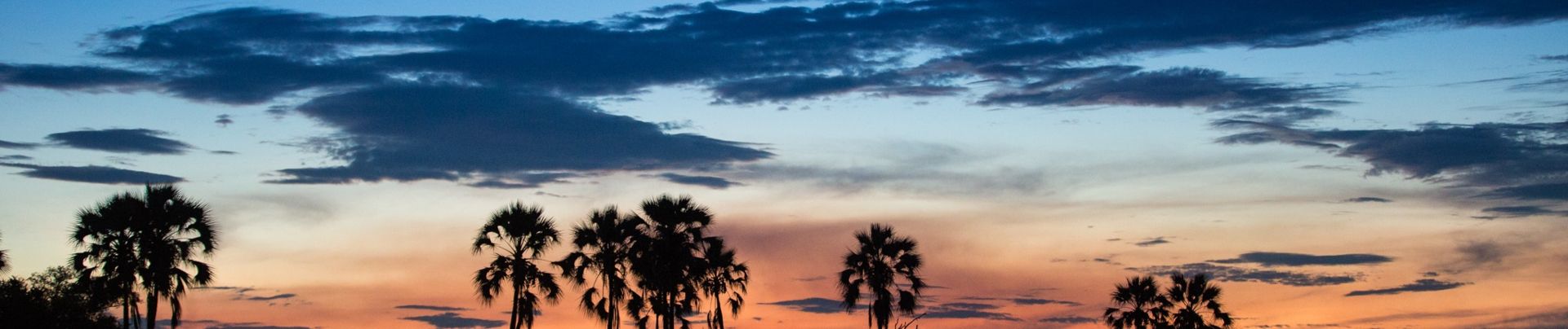 Machaba Monachira Camp Wildlife Sightings October 2025 Banner Okavango Delta Sunset