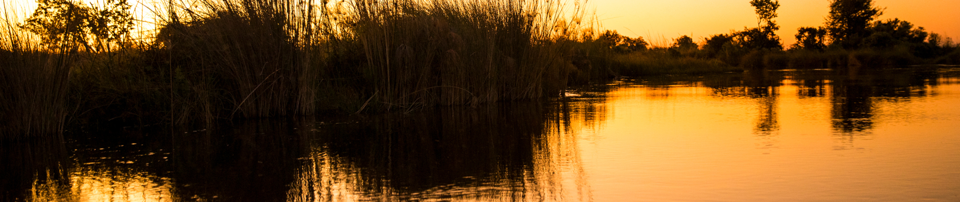 Machaba Botswana Okavango Delta Monachira Camp Wildlife Sightings November 2025 Sunset Over Channel