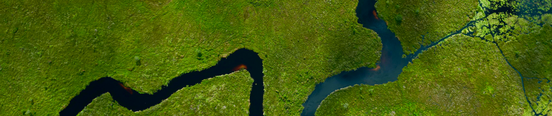 Machaba Monachira Camp Wildlife Sightings March 2026 Banner Okavango Delta Wet Season