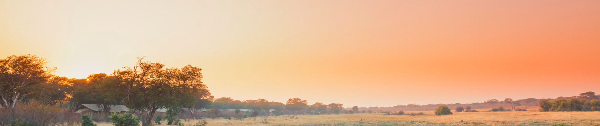 Machaba Verneys Camp Wildlife Sightings August 2025 Banner Verneys At Sunset Machaba Verneys Camp Wildlife Sightings August 2025 Banner Verneys At Sunset