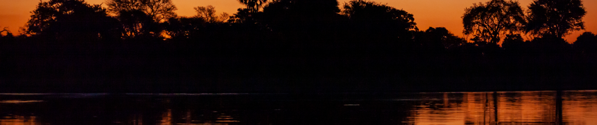 Machaba Camp Wildlife Sightings January 2026 Banner Sunset At Machaba Camp