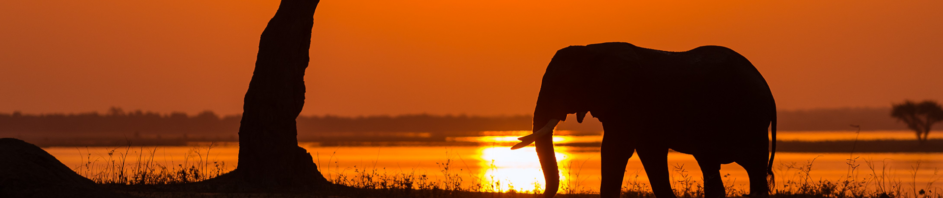 Mana Pools National Park Banner