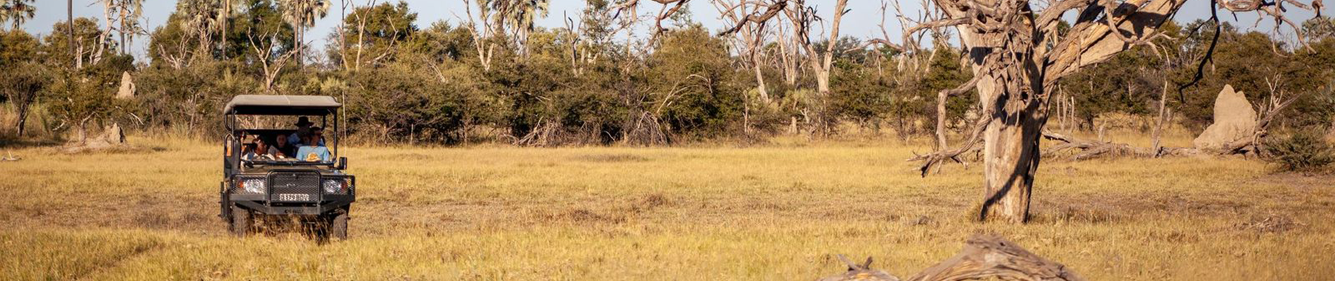 Botswana Gomoti Camp Game Drive Botswana Gomoti Camp Game Drive