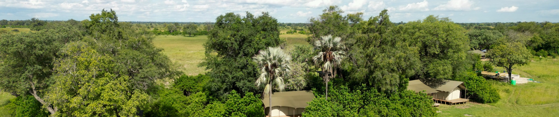 Machaba Monachira Camp Wildlife Sightings August 2025 Banner Beautiful Monachira Camp