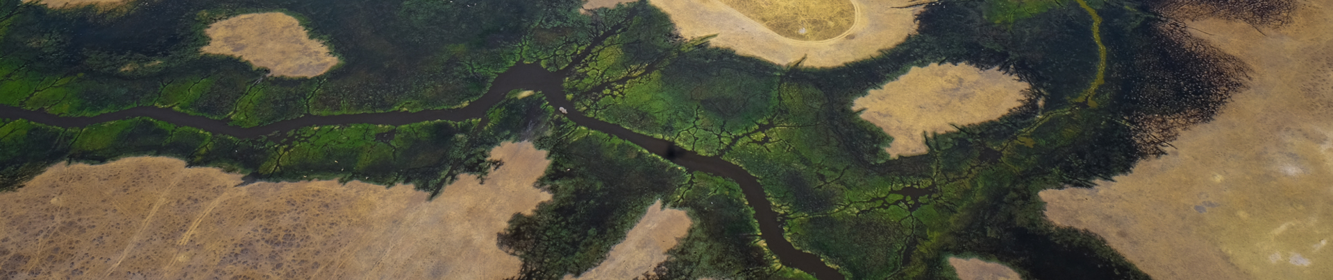 Machaba Kiri Camp Wildlife Sightings July 2026 Banner Okavango Delta Channel System