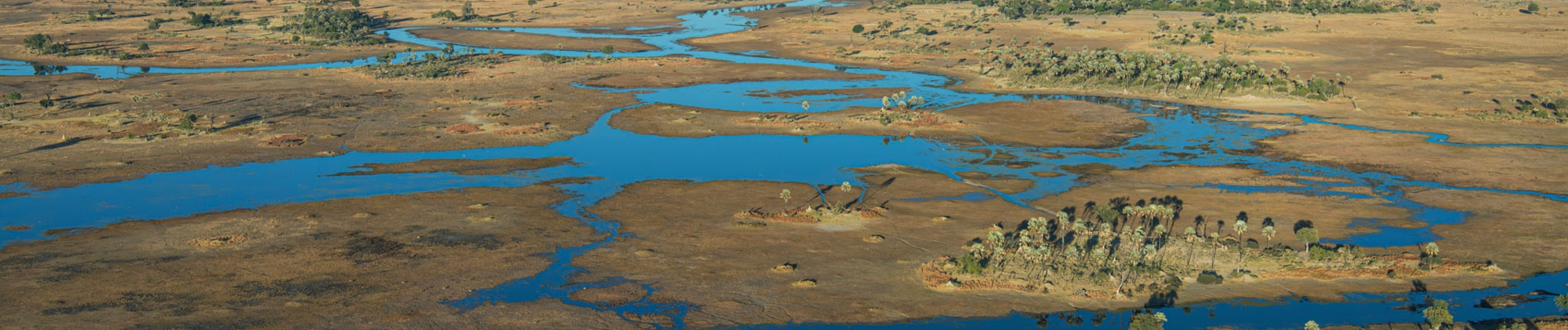 Machaba Monachira Camp Wildlife Sightings September 2025 Banner Okavango Delta Flood Plain Machaba Monachira Camp Wildlife Sightings September 2025 Banner Okavango Delta Flood Plain