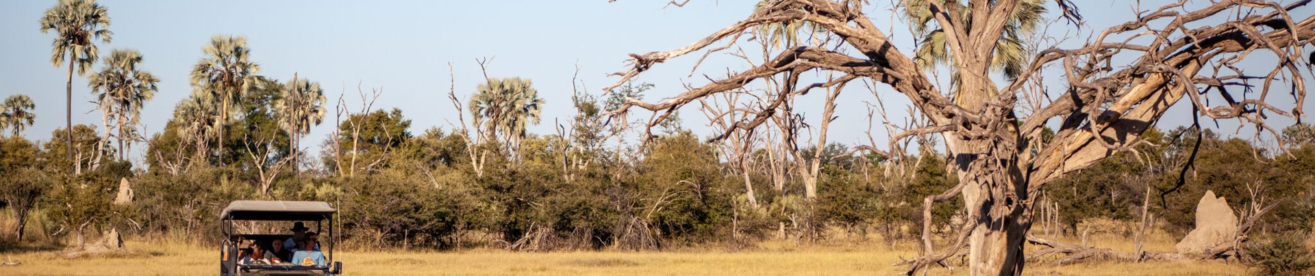 Gomoti Plains March Sightings Banner Gomoti Plains March Sightings Banner