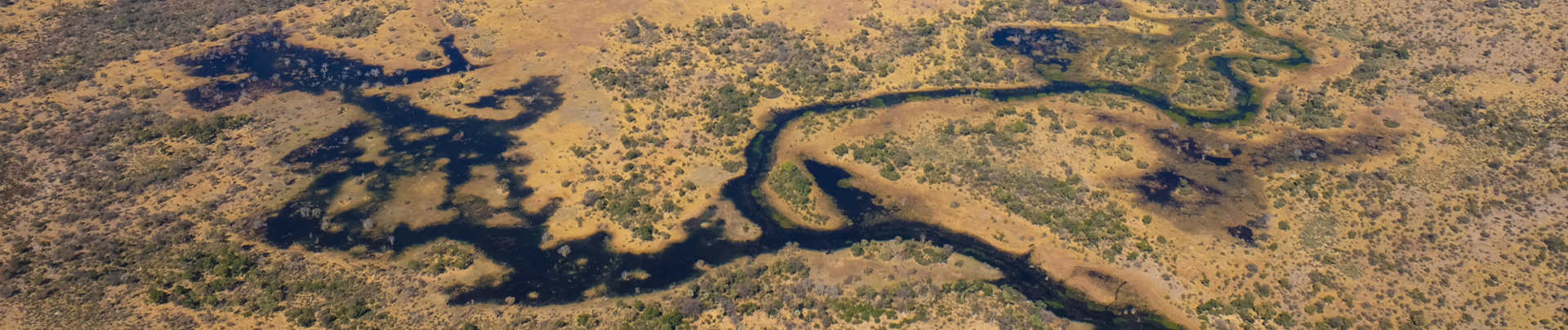 Machaba Camp Wildlife Sightings March 2026 Banner Okavango Delta Dry Season