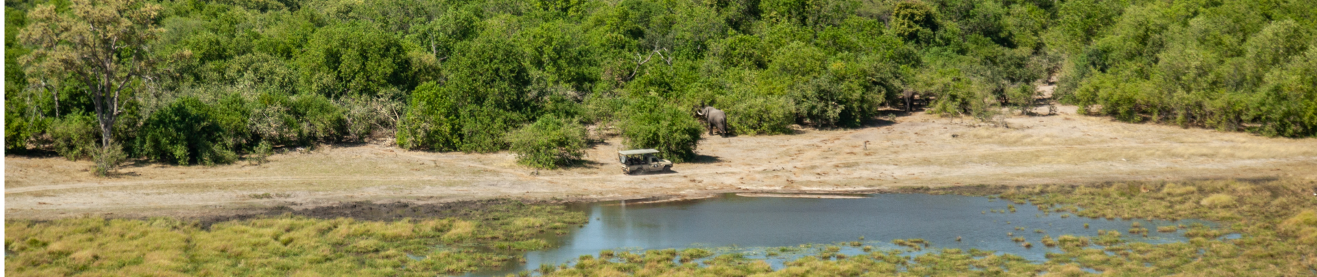 Machaba Camp Wildlife Sightings February 2026 Banner Khwai Concession