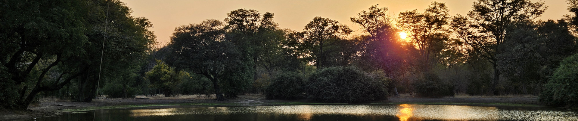 Machaba Ingwe Pan Camp Wildlife Sightings July 2026 Banner Sundown In Mana Pools National Park