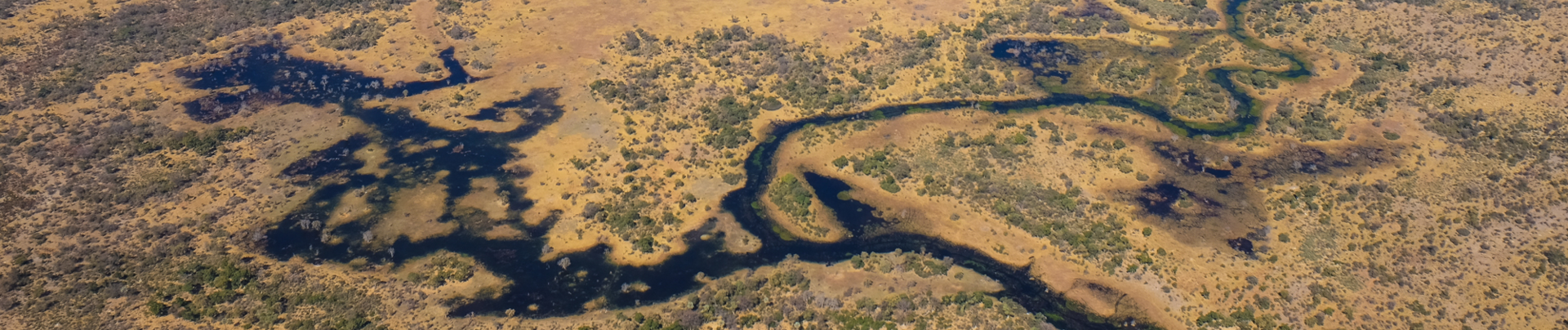 Machaba Monachira Camp Wildlife Sightings January 2026 Banner Okavango Flood Plain