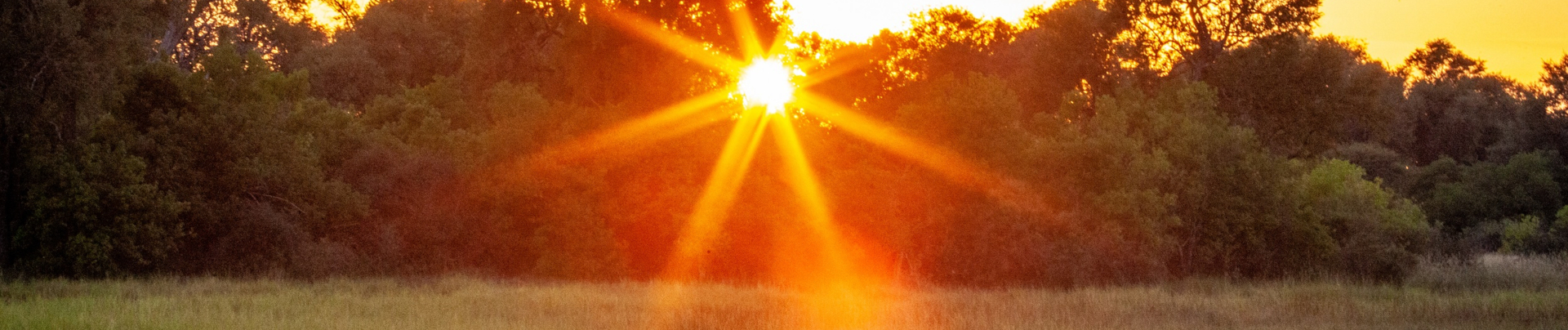 Beautiful morning sunrise outside Machaba Camp Beautiful morning sunrise outside Machaba Camp