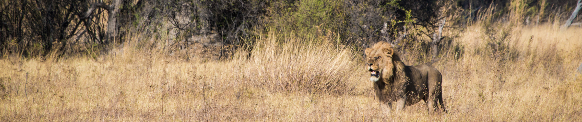 Camp Fact Sheets Banner