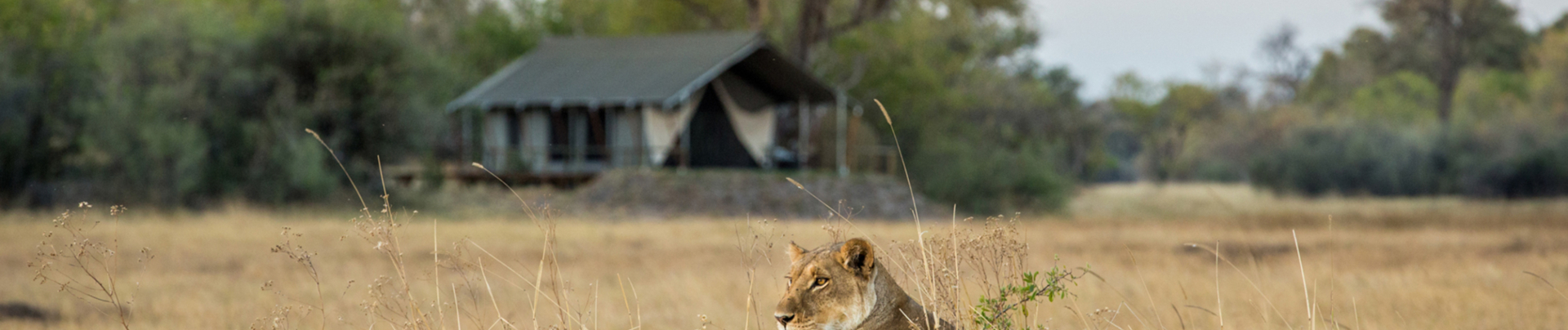 Machaba Safaris International Travel Award Nomination Safari Experience Mokoro Banner