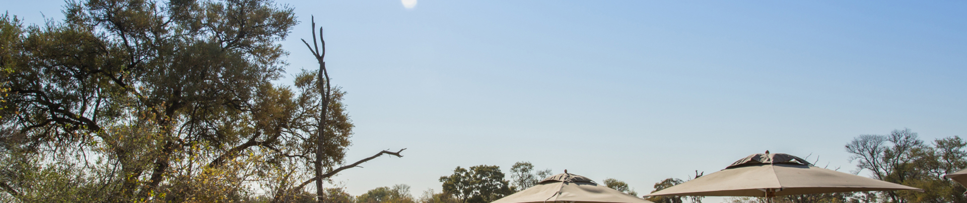 Machaba Safaris Botswana Okavango Delta Machaba Camp May Sightings Camp Pool