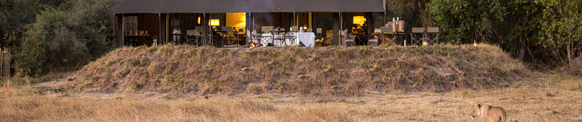 Machaba Web Botswana Little Machaba Rates Banner Machaba Web Botswana Little Machaba Rates Banner