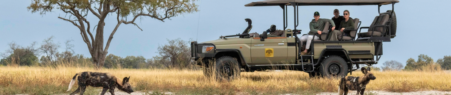 Wilddogs spotted on Machaba Safari Drive Wilddogs spotted on Machaba Safari Drive